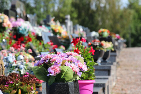 fleurs posées sur une tombe dans un cimetière
